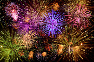 Fototapeta premium Beautiful fireworks show on clear night sky.