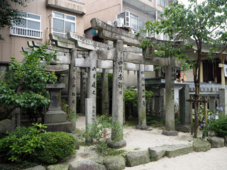 Fototapeta premium Shinto shrine located in Hakata-ku, Fukuoka, Japan