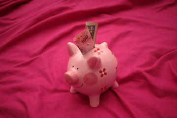 Pig piggy bank Smile savings for the future.