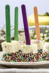 Chocolate dipped bananas