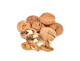 Walnut  on white background.