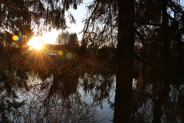 The sunset and the sun Peeps through the trees