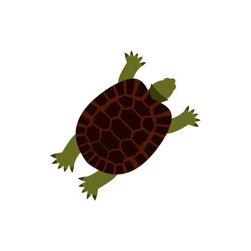 Turtle icon in flat style isolated on white background. Animal symbol