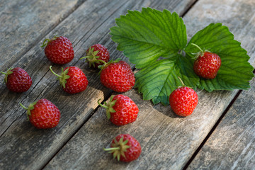Erdbeeren