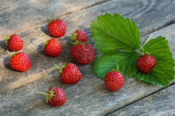 Erdbeeren