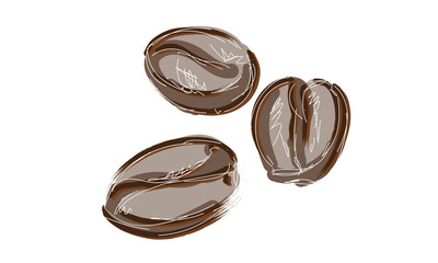 Hand drawn coffee beans grpahic illlustration cafe