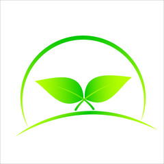 Green leaf design