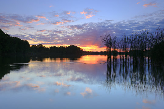 Lake With Reeds At Sunset