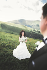 Beautiful wedding couple, bride and groom, in love on the background of mountains