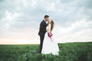 Beautiful couple in field, Lovers or newlywed posing on sunset with perfect sky