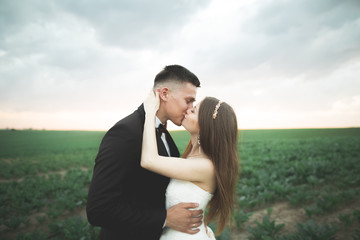 Beautiful couple in field, Lovers or newlywed posing on sunset with perfect sky