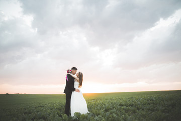 Lovely couple young bride and groom on sunset background. Beautiful sky