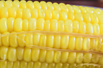 Fresh organic corn