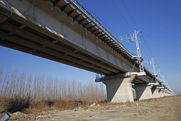 Elevated concrete bridge structure