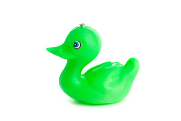 Green duck toy on white background 