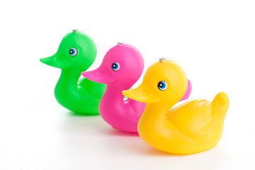 Colorful ducks toy on white background 