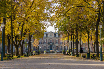 Fototapeta premium Autumn trees in park