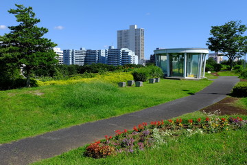 Rooftop garden