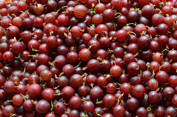 Close up of red gooseberry background or texture