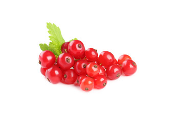 Red currants isolated on a white