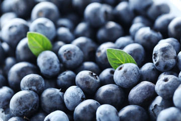 Ripe and tasty blueberries background