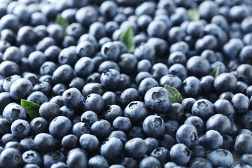 Ripe and tasty blueberries background