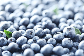 Ripe and tasty blueberries background