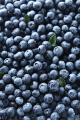 Ripe and tasty blueberries background