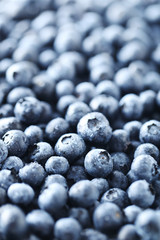 Ripe and tasty blueberries background
