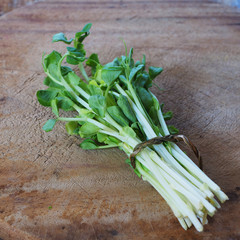 Close up of pea sprouts bundle on a wooden cutting board.