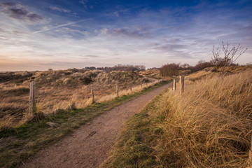 Dünenlandschaft