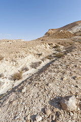 Desert in Israel