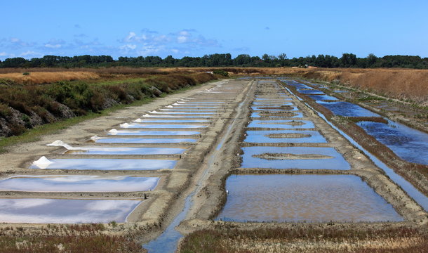 r&eacute;colte du sel dans les marais salants de l'&icirc;le de r&eacute;