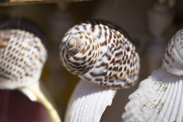 Summer Portuguese souvenirs