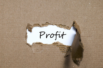 The word profit appearing behind torn paper