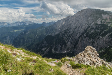 Steinmann, Jenner, Schneibstein