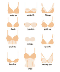 Set with ladies underwear. Different types of bras vector icons