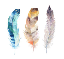 Hand drawn watercolor paintings vibrant feather set. Boho style