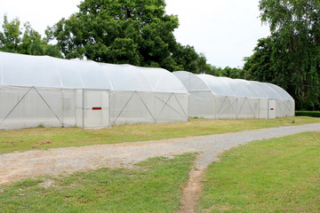 new empty greenhouse