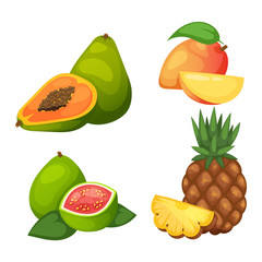 Tropical fruits vector set.