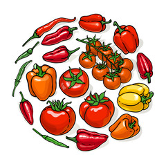 Hand drawn collection of tomatoes and red pepper isolated on white background.