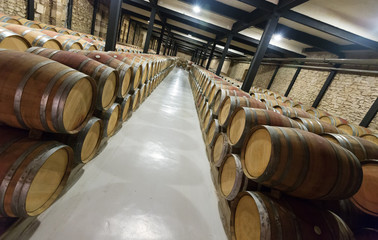 many wooden barrels in  winery factory