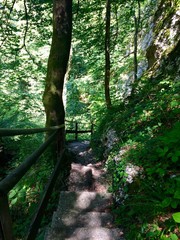 Weg durch die Schlucht