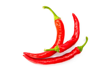 Chili pepper isolated on white background
