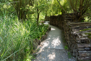 Chemin dans la forêt