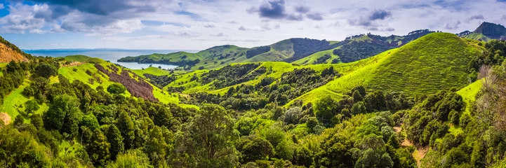 Gordijnen Landscape at Coromandel, New Zealand © A. Karnholz