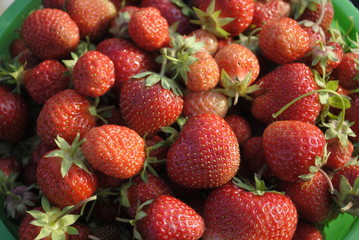 strawberries ripe juicy berry red