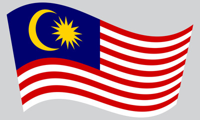 Flag of Malaysia waving on gray background