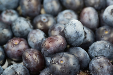 Surface coated with bilberries