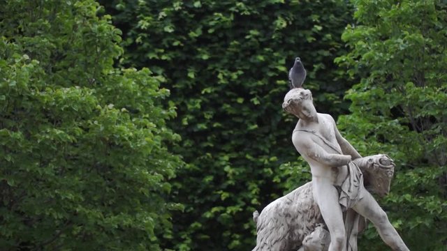 Pigeon sitting on head of statue in a garden